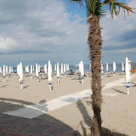 Cedri B * לידו דלה נציוני