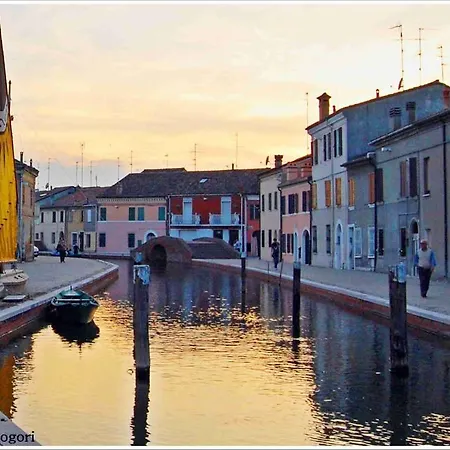 Cedri B לידו דלה נציוני