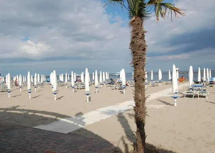 Cedri B * Lido delle Nazioni