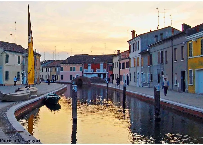 Cedri B Lido delle Nazioni