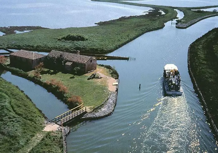 Cedri B Lejlighed Lido delle Nazioni